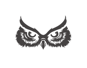 Noctua beer