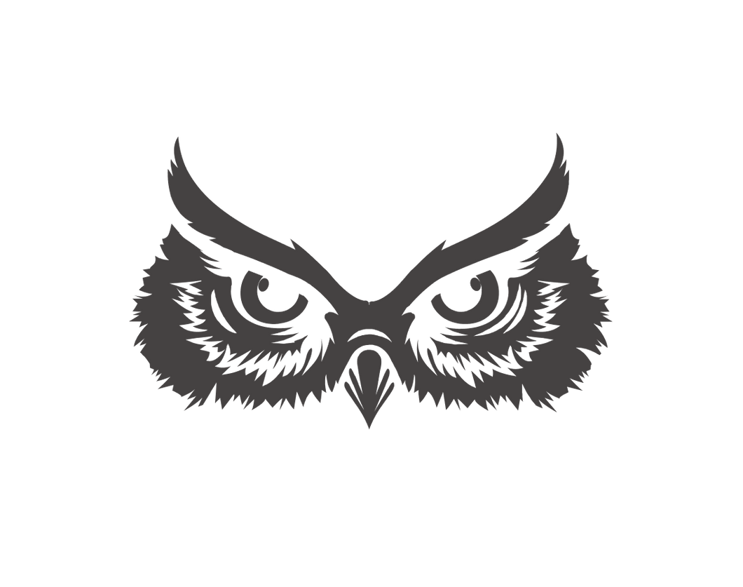 Noctua beer